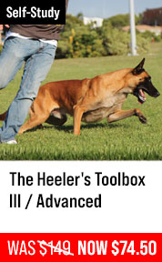 The Heeler's Toolbox III / Advanced