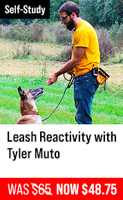 Leash Reactivity - with Tyler Muto