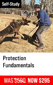 Protection Fundamentals