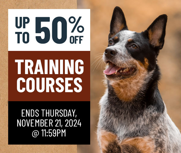 Up to 50% Off Online Courses