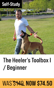 The Heeler's Toolbox I / Beginner