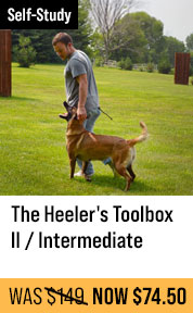 The Heeler's Toolbox II / Intermediate