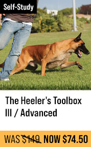 The Heeler's Toolbox III / Advanced