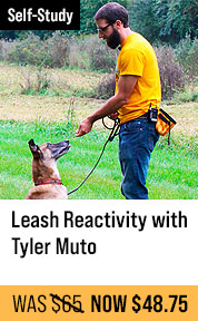 Leash Reactivity - with Tyler Muto