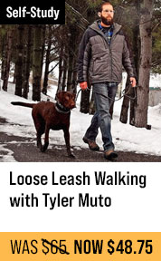 Loose Leash Walking