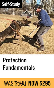 Protection Fundamentals