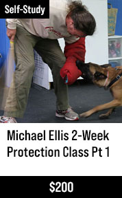 Michael Ellis 2-Week Protection Class - Part 1