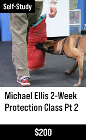 Michael Ellis 2-Week Protection Class - Part 2