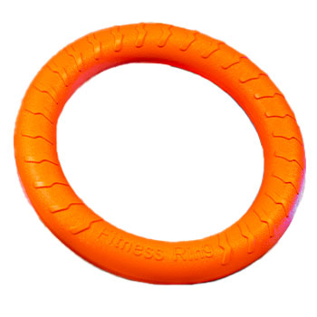 Leerburg's Foam Fitness Rings - Set of 2