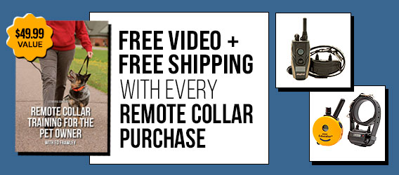 Free Premium Video + Free Shipping with Remote Collar Purchase