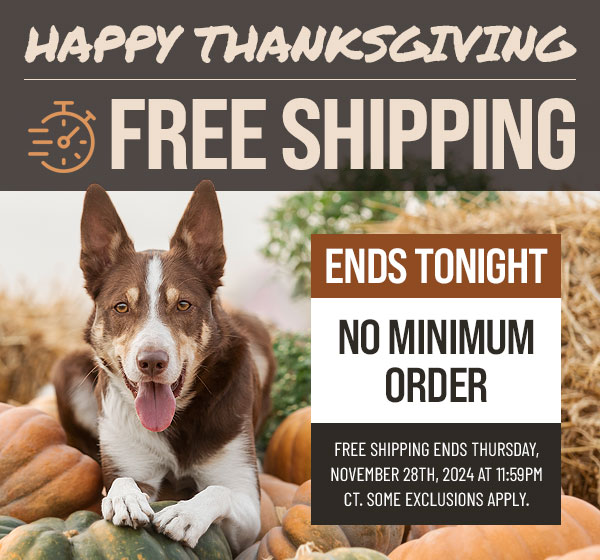 Free Shipping until Thanksgiving