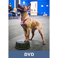 Raising Your Puppy with Michael Ellis DVD