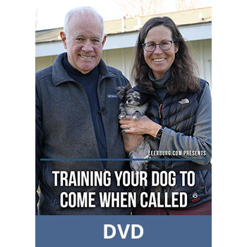 Training Your Dog to Come When Called