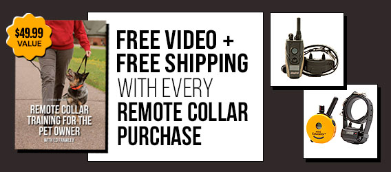 Free Premium Video + Free Shipping with Remote Collar Purchase