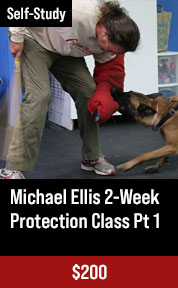 Michael Ellis 2-Week Protection Class - Part 1