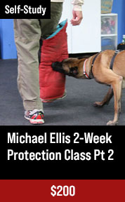 Michael Ellis 2-Week Protection Class - Part 2