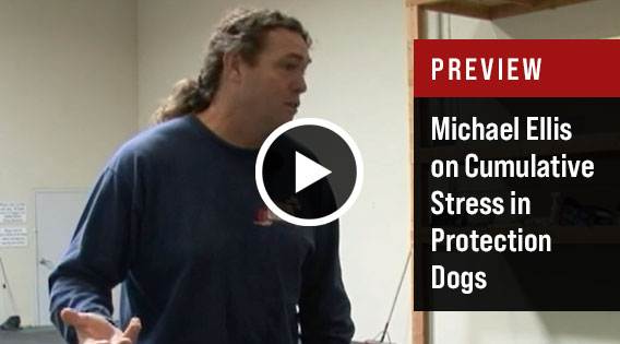 Michael Ellis on Cumulative Stress in Protection Dogs