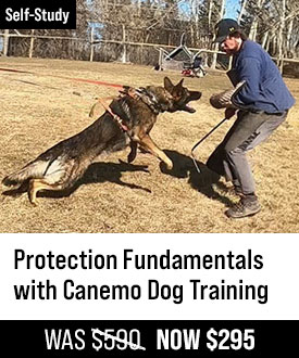 Protection Fundamentals