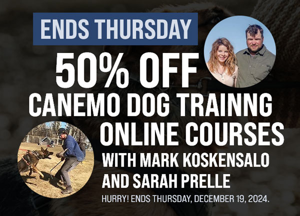 50% Off Marko Courses Ends Thursday