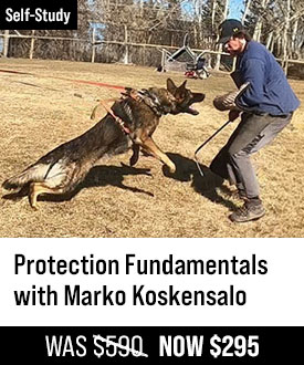 Protection Fundamentals