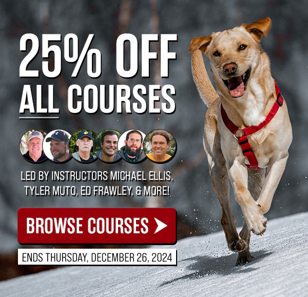 25% Off Courses