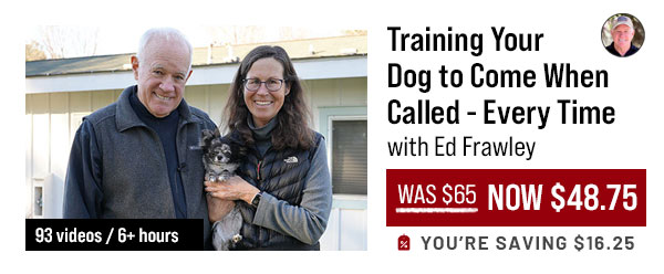 Training Your Dog to COME When Called - EVERY TIME