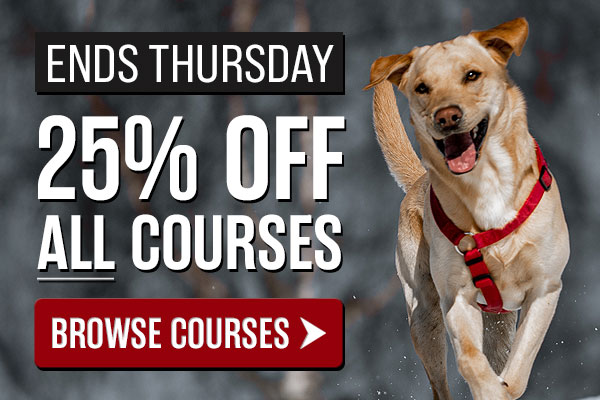 25% Off All Courses Ends Soon