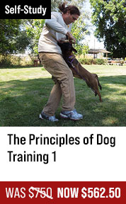 The Principles of Dog Training 1