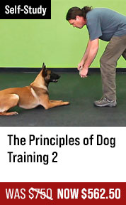 The Principles of Dog Training 2