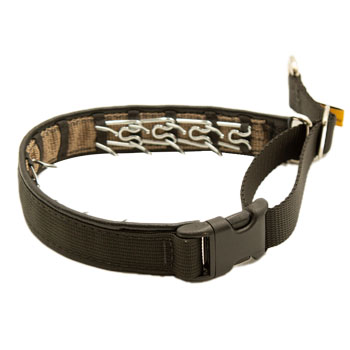 Keeper Collars Hidden Prong with Snap