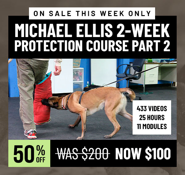 Michael Ellis 2-Week Protection Class Pt. 2