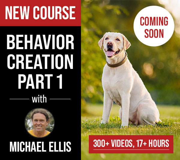 New Course! Behavior Creation Pt. 1 with Michael Ellis