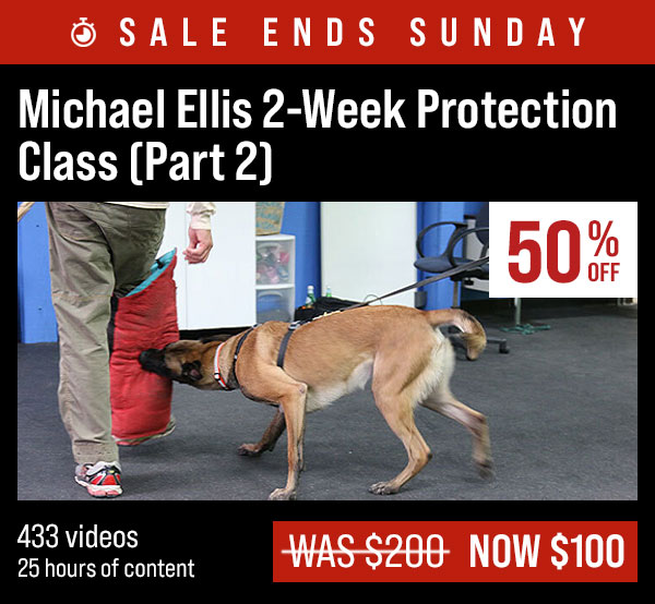 $100 Off Michael Ellis 2-Week Protection Class