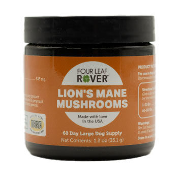 Lion's Mane - Organic Mushroom Extract