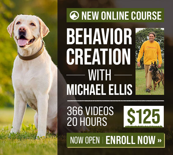 New Course! Behavior Creation Pt. 1 with Michael Ellis