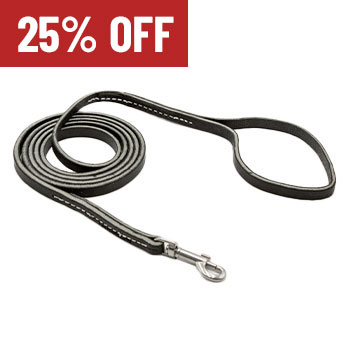 3/8-inch Puppy Leash