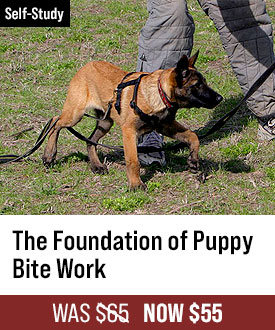 The Foundation of Puppy Bite Work