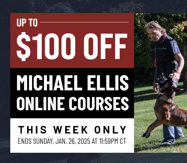 Up to $100 Off Select Michael Ellis Courses