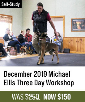 December 2019 Michael Ellis Three Day Workshop