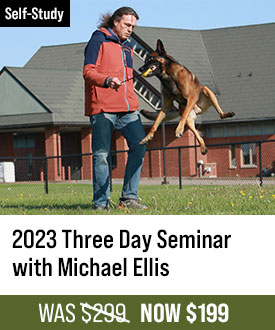 2023 Three Day Seminar with Michael Ellis