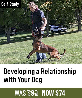 Developing A Relationship With Your Dog with Michael Ellis