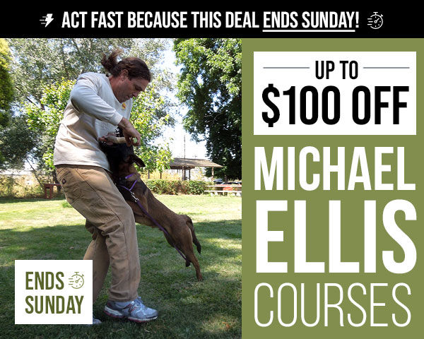 Up to $100 Off Select Michael Ellis Courses