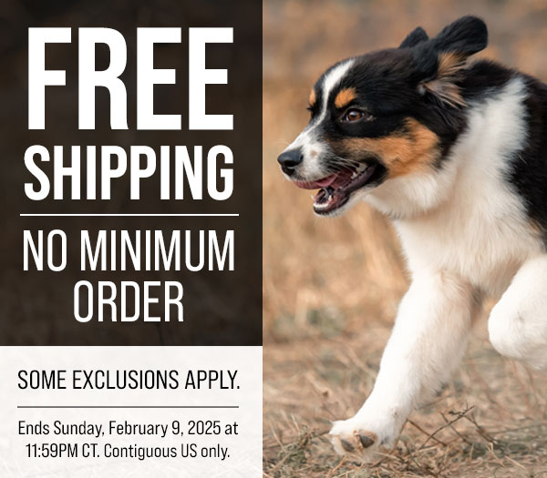 Free Shipping