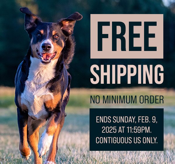 Free Shipping