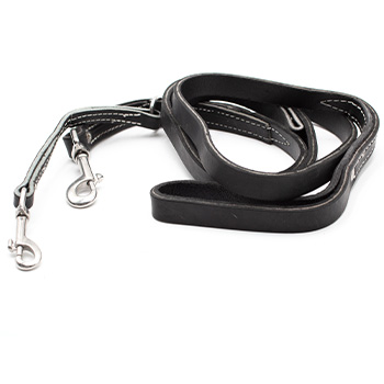 3/4-inch Two Handled Leather Prong Collar Leash