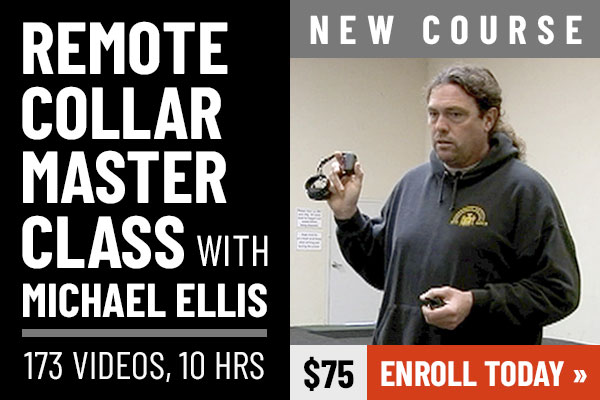 Remote Collar Master Class with Michael Ellis