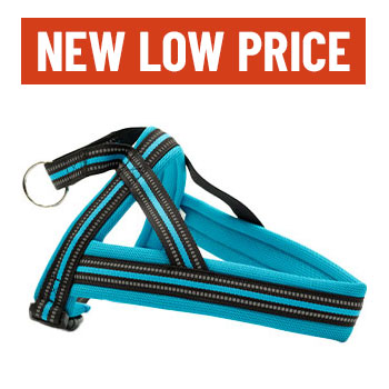 Leerburg's Reflective Padded Harness