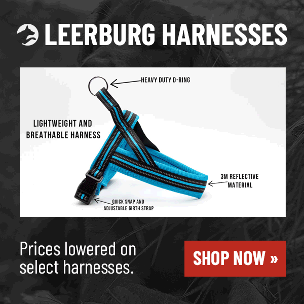 Shop Leerburg Muzzles