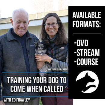 Training Your Dog to Come When Called DVD