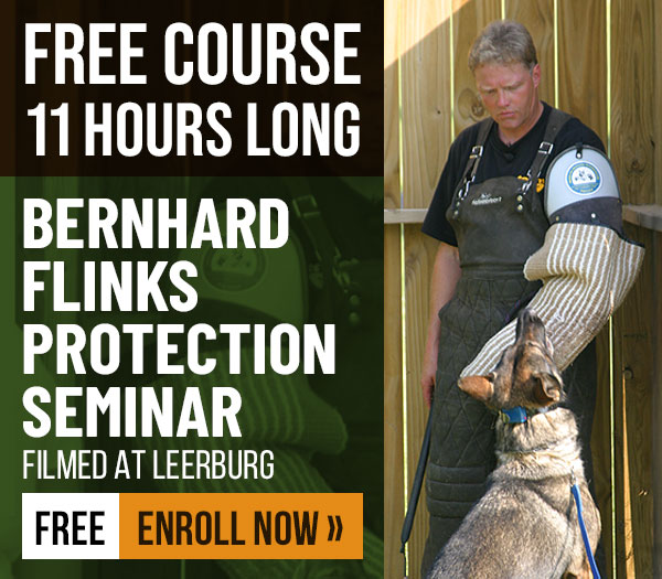 Free Online Course: Protection Seminar with Bernhard Flinks